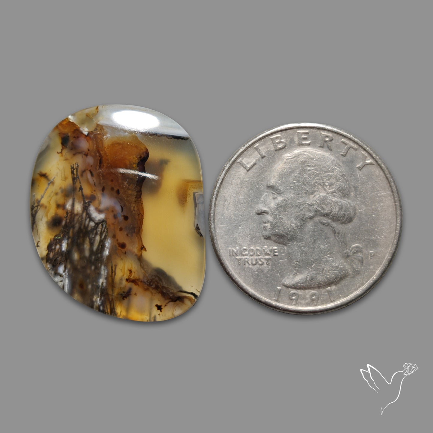 Montana Agate Cabochon