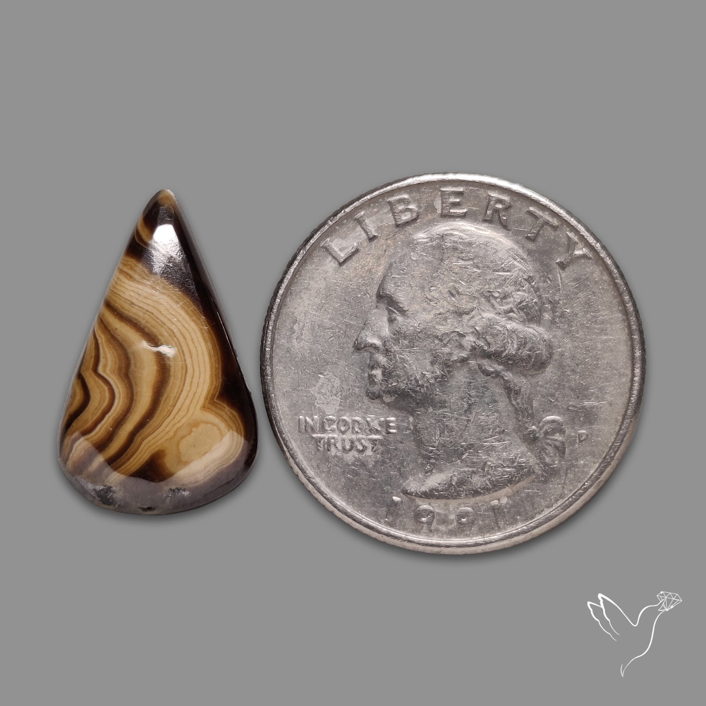 Schalenblende Cabochon
