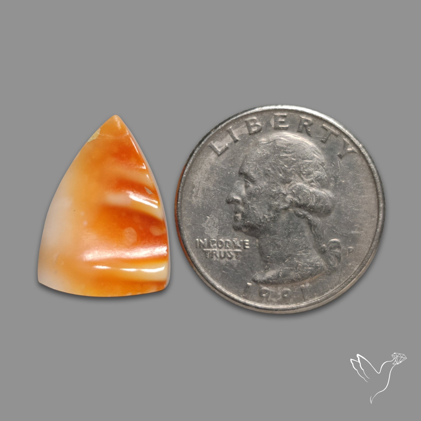 Spiny Oyster Shell