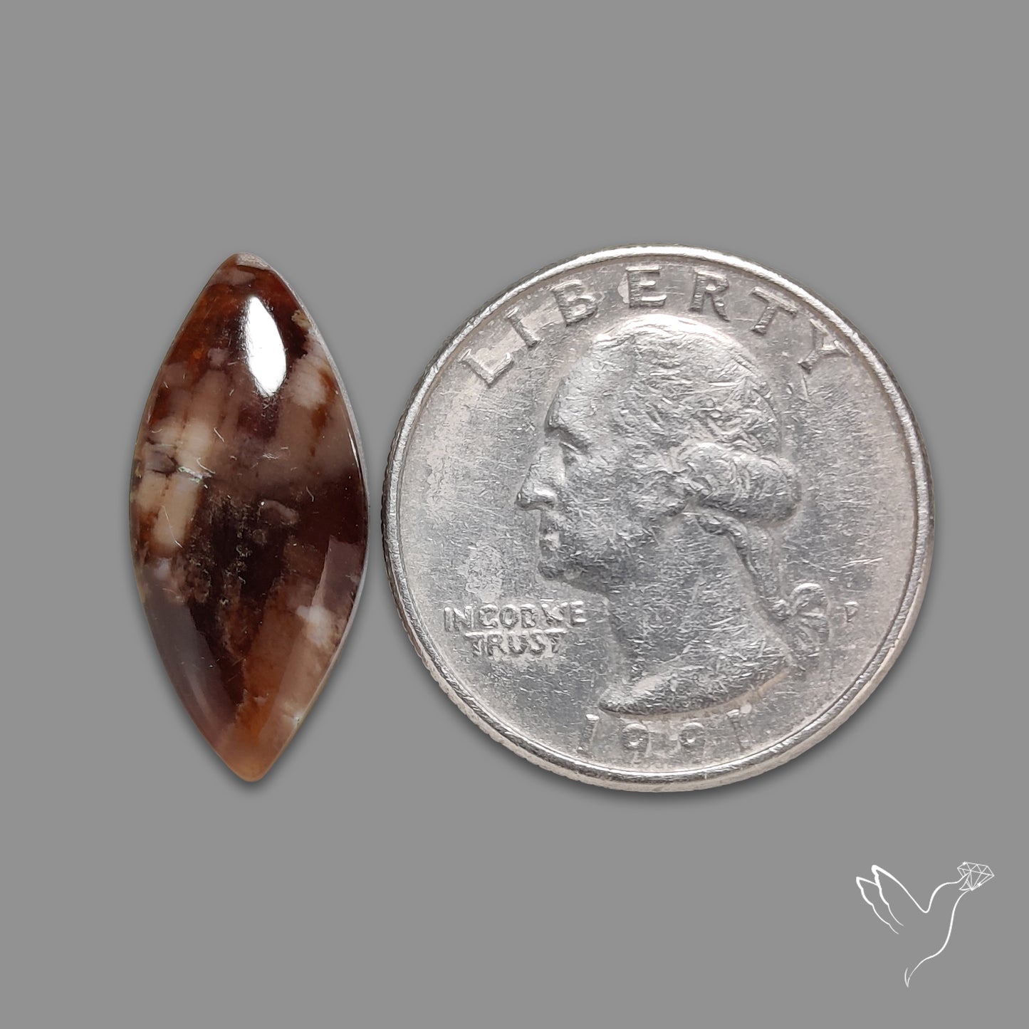 Arizona Petrified Wood Cabochon