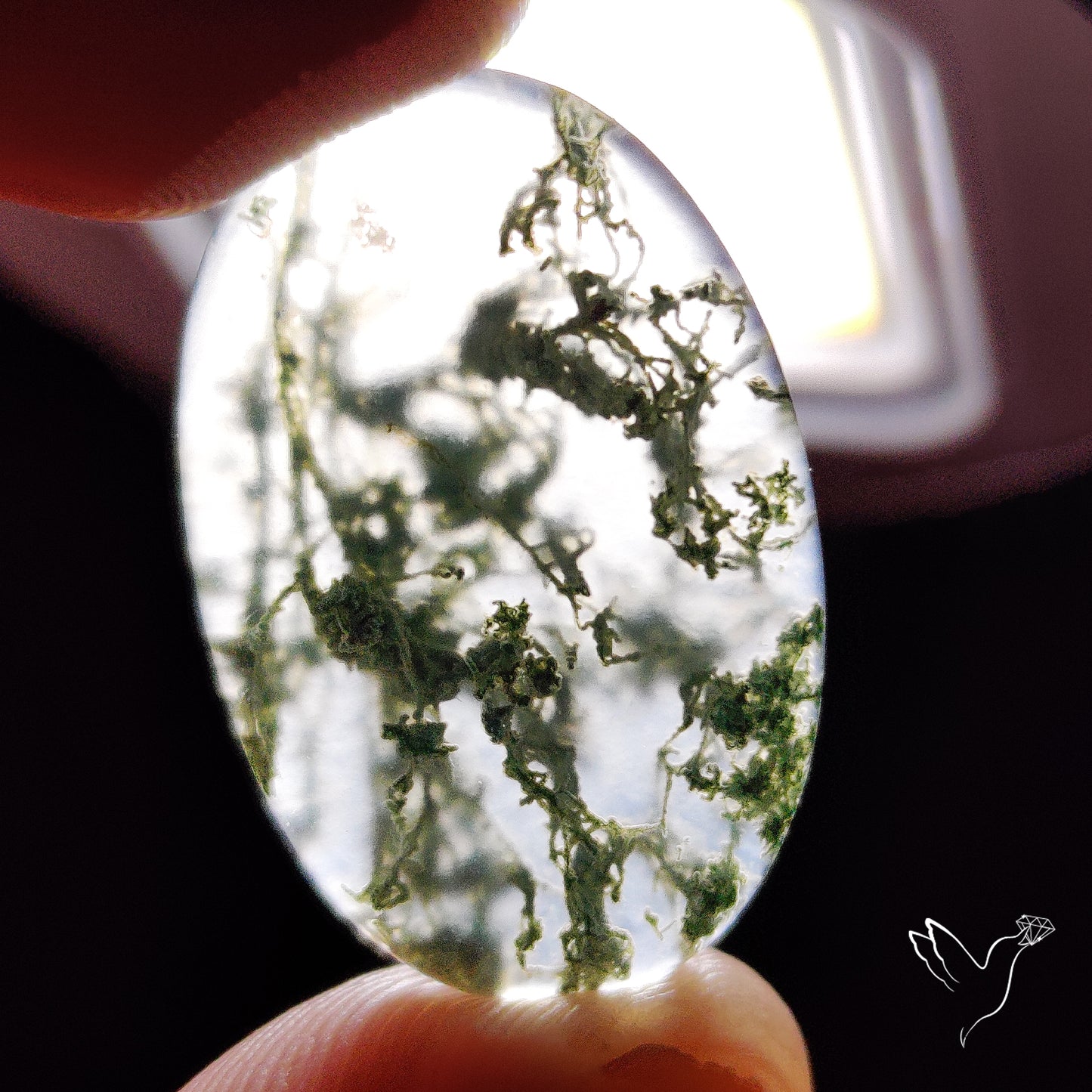Horse Canyon Moss Agate Cabochon