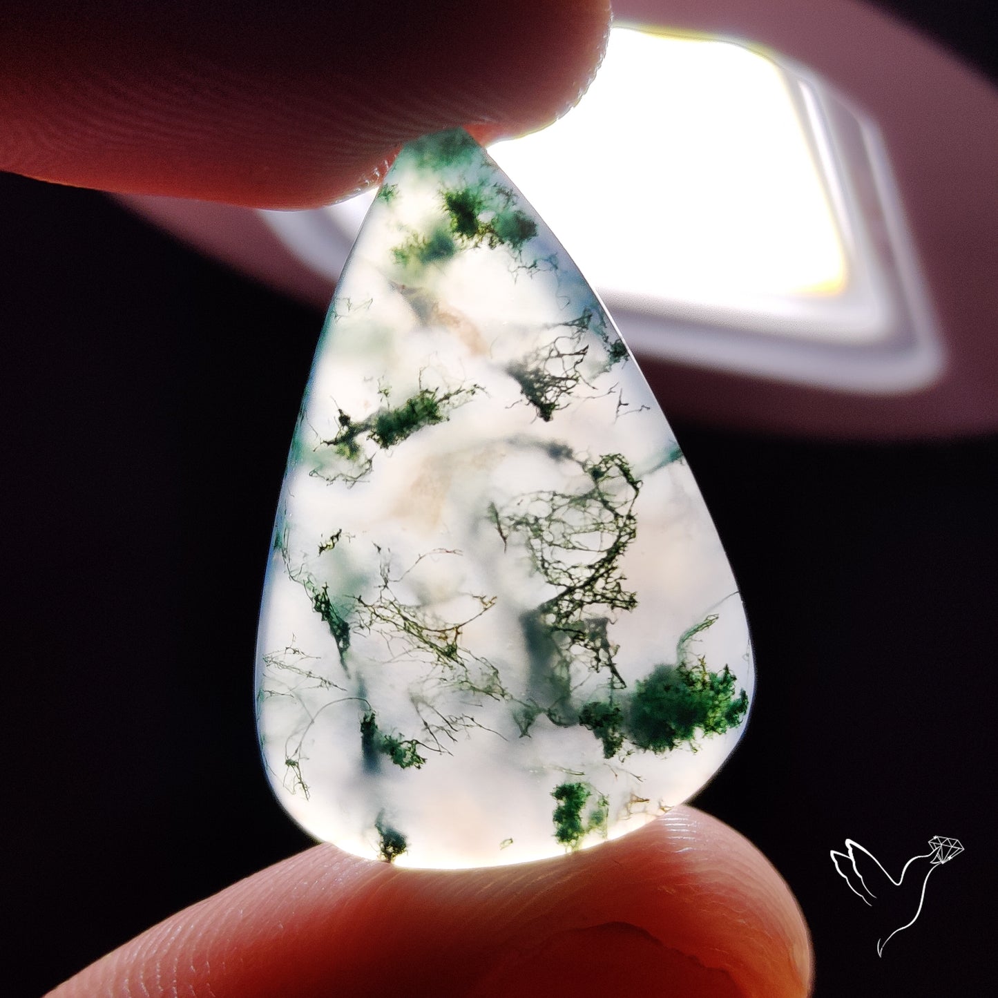 Horse Canyon Moss Agate Cabochon