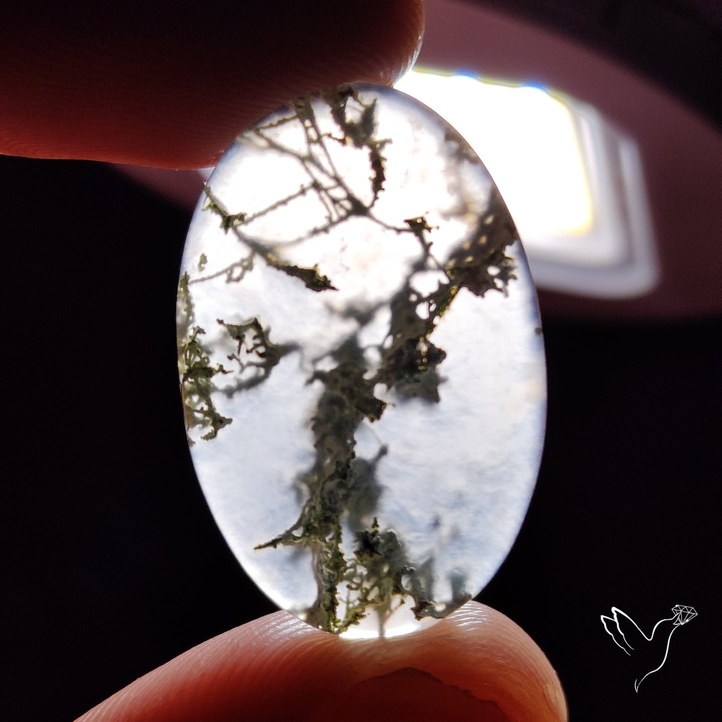 Horse Canyon Moss Agate Cabochon