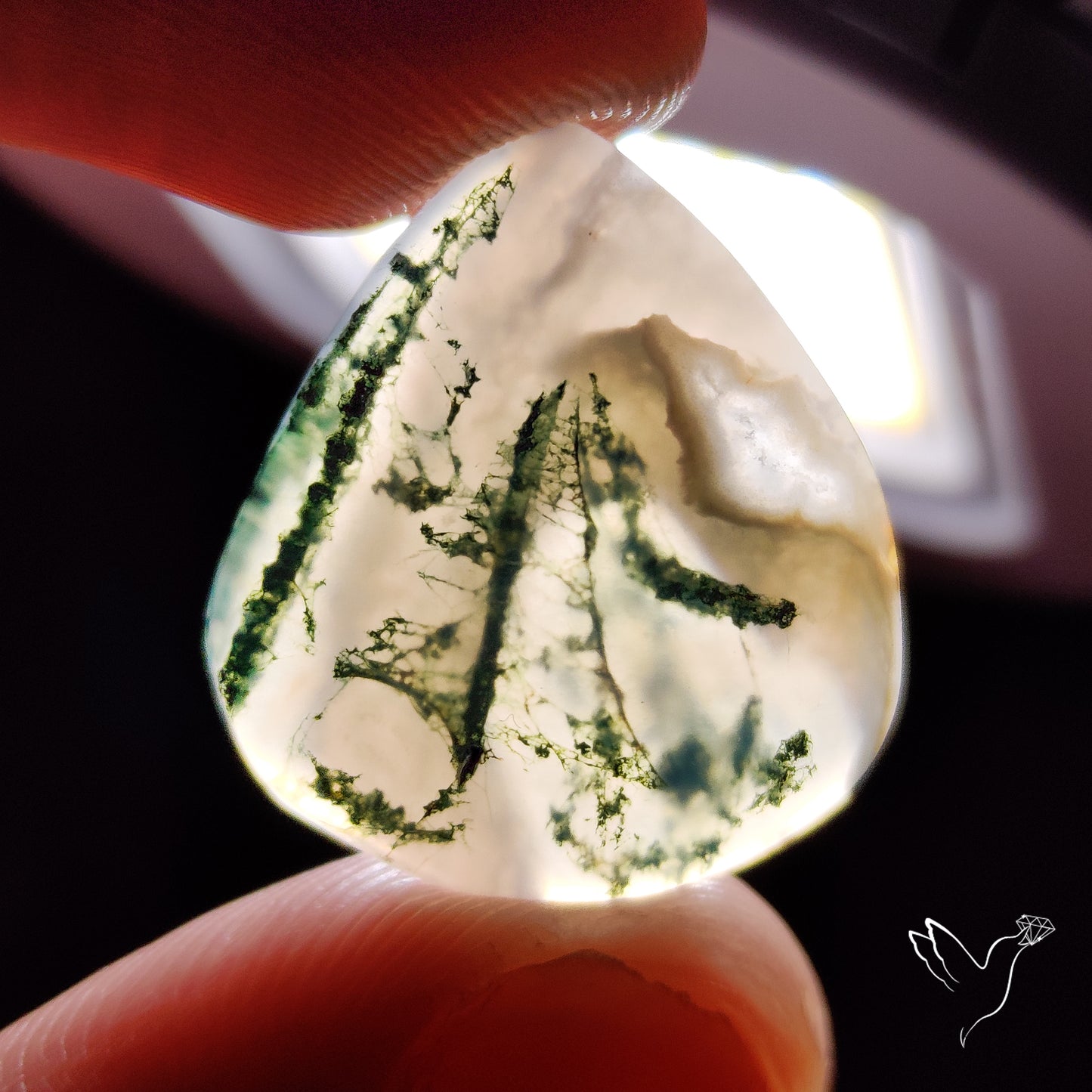 Horse Canyon Moss Agate Cabochon