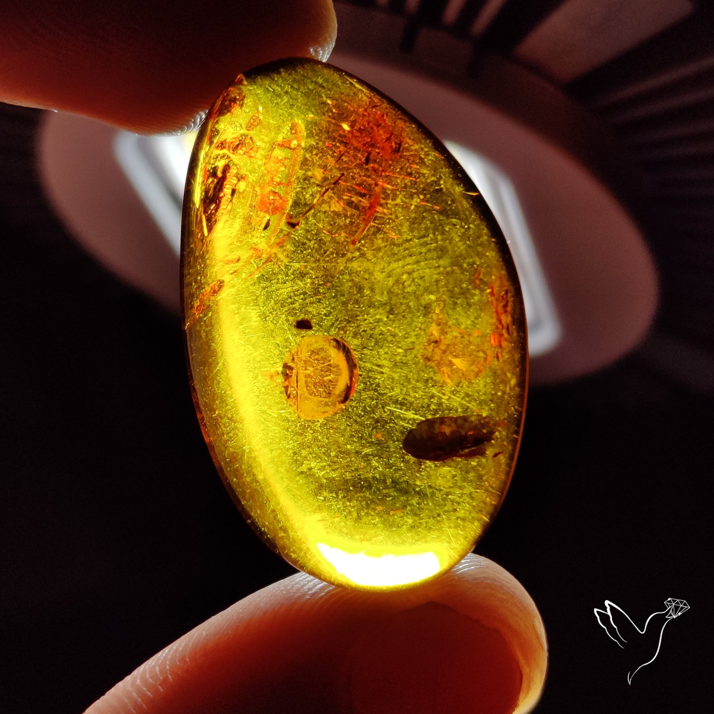 Baltic Amber Cabochon