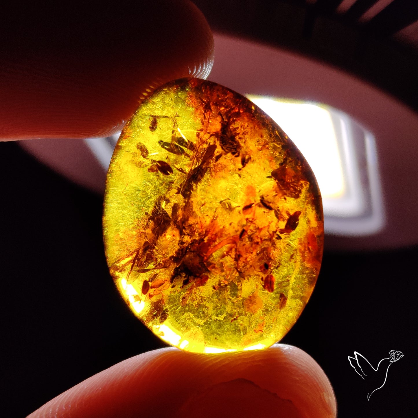 Baltic Amber Cabochon