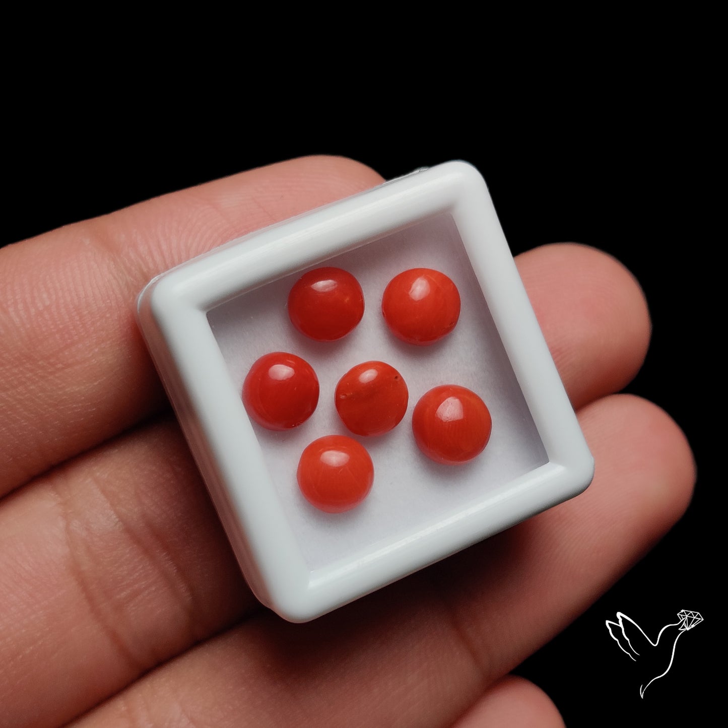 Red Coral Cabochons Lot