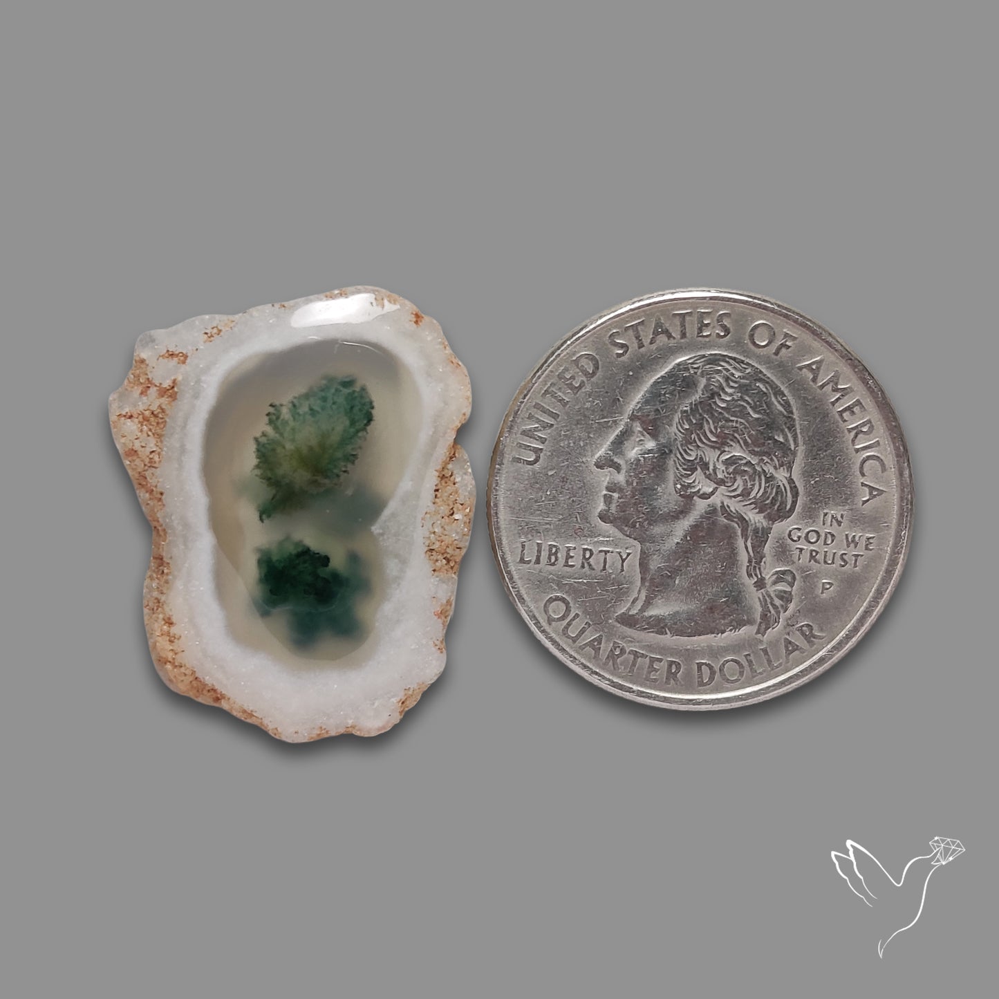 Solar Quartz with Moss Slice Raw Edges Freeform