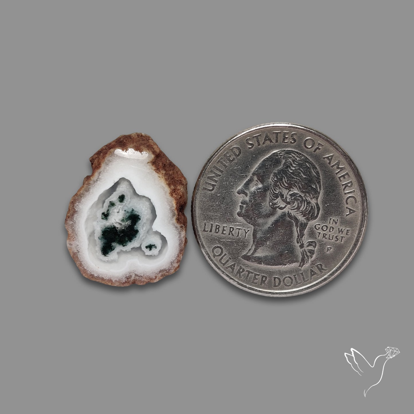 Solar Quartz with Moss Slice Raw Edges Freeform