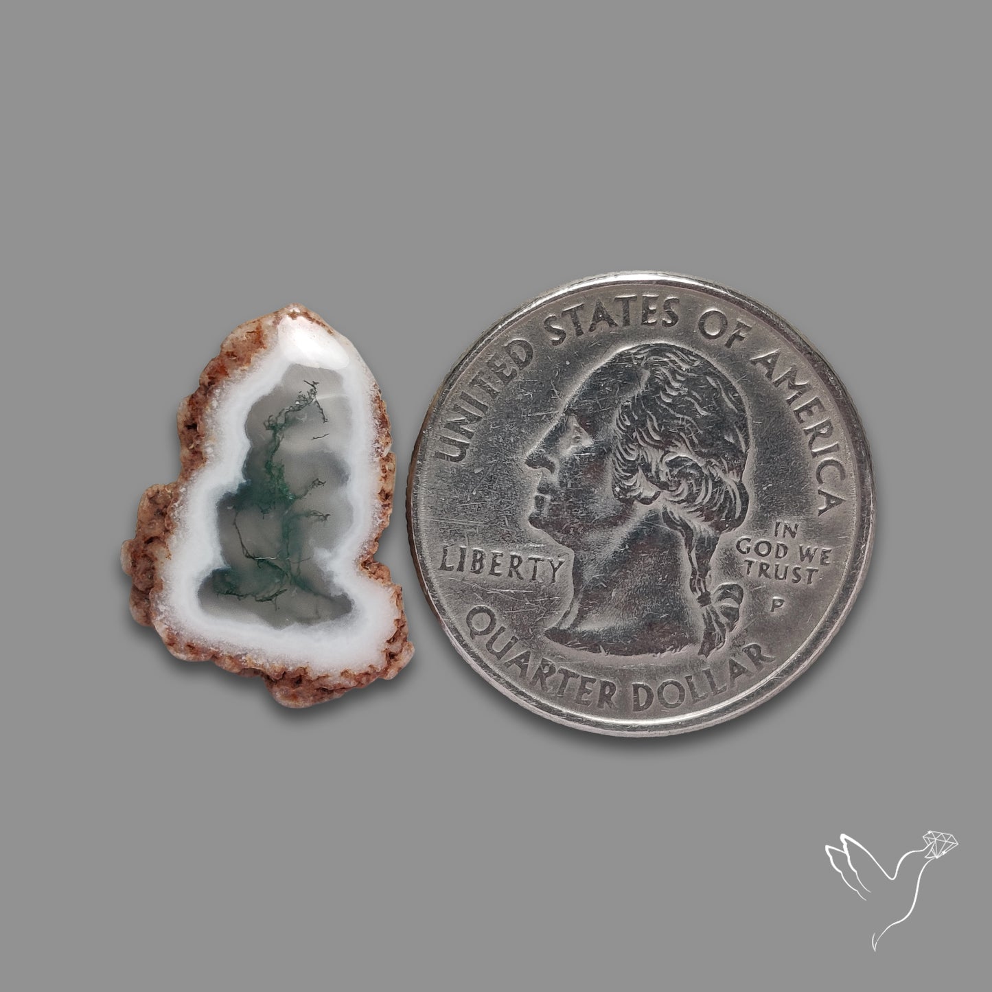 Solar Quartz with Moss Slice Raw Edges Freeform