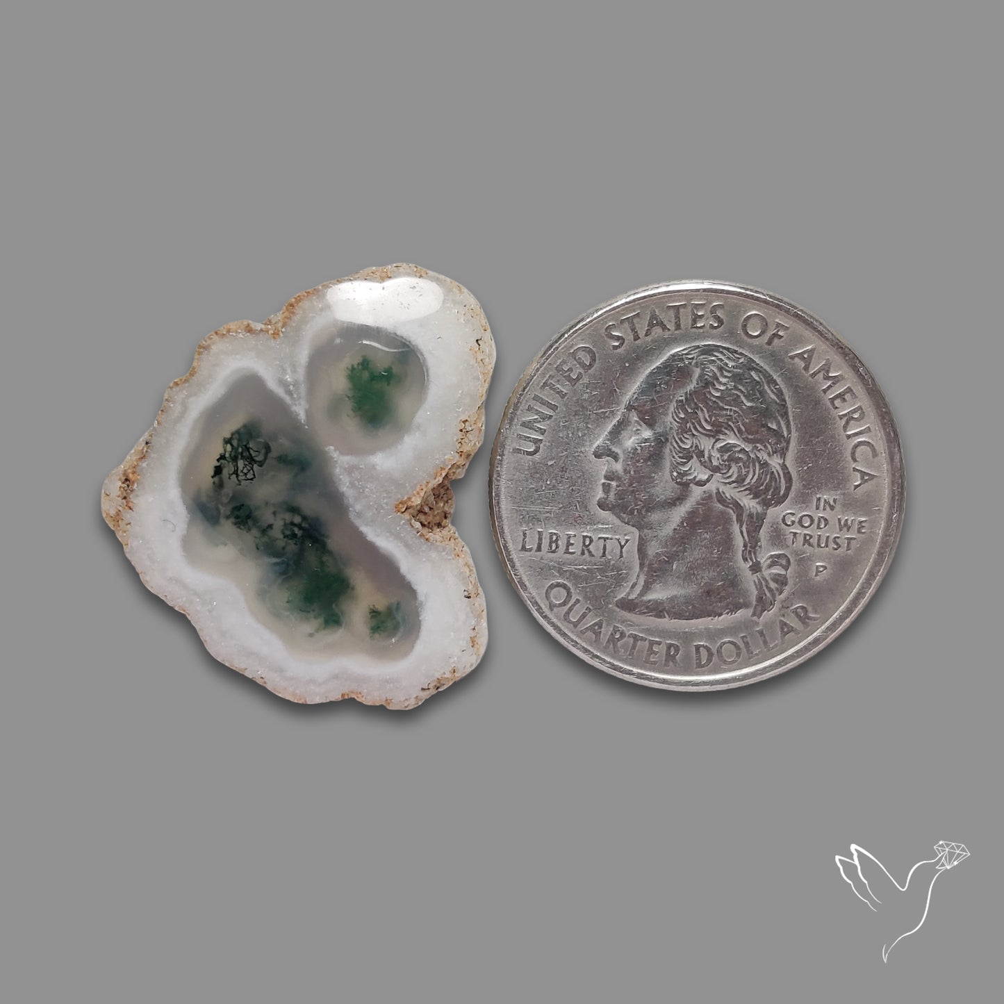 Solar Quartz with Moss Slice Raw Edges Freeform