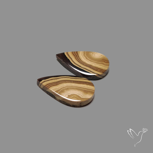 Schalenblende Pair