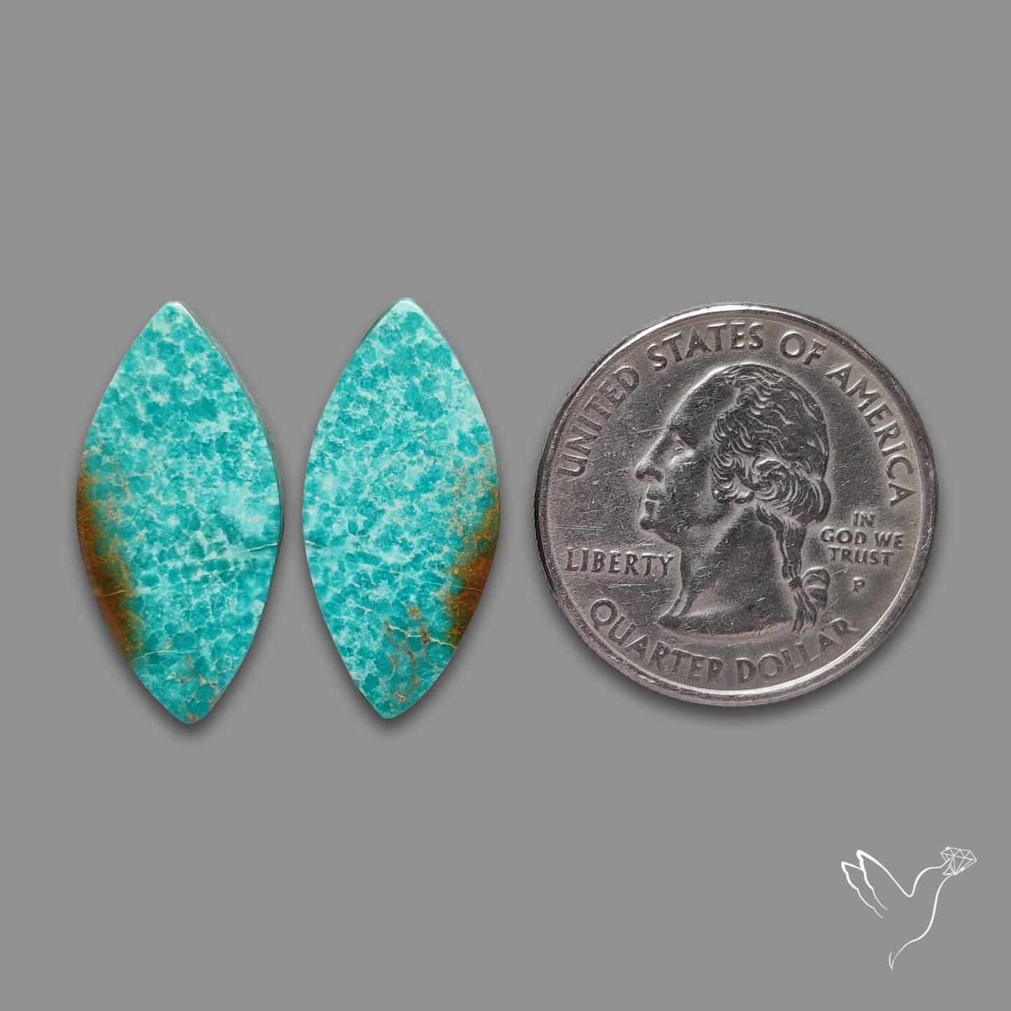 Arizona Patagonia Turquoise Pair