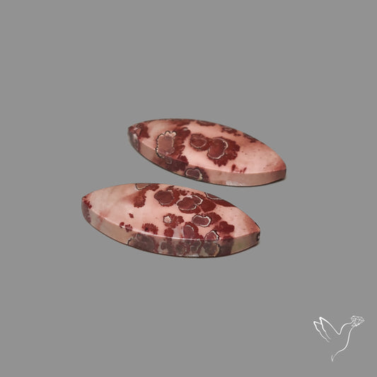 Sonoran Dendiritic Rhyollite Pair