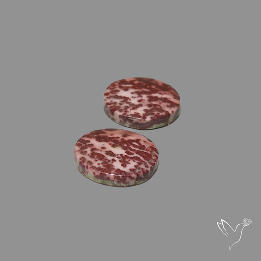 Sonoran Dendiritic Rhyollite Pair