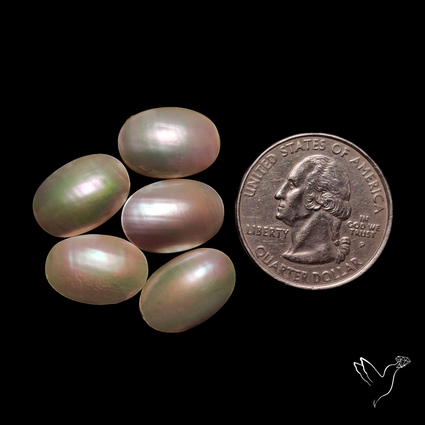 Mother of Pearls Lot