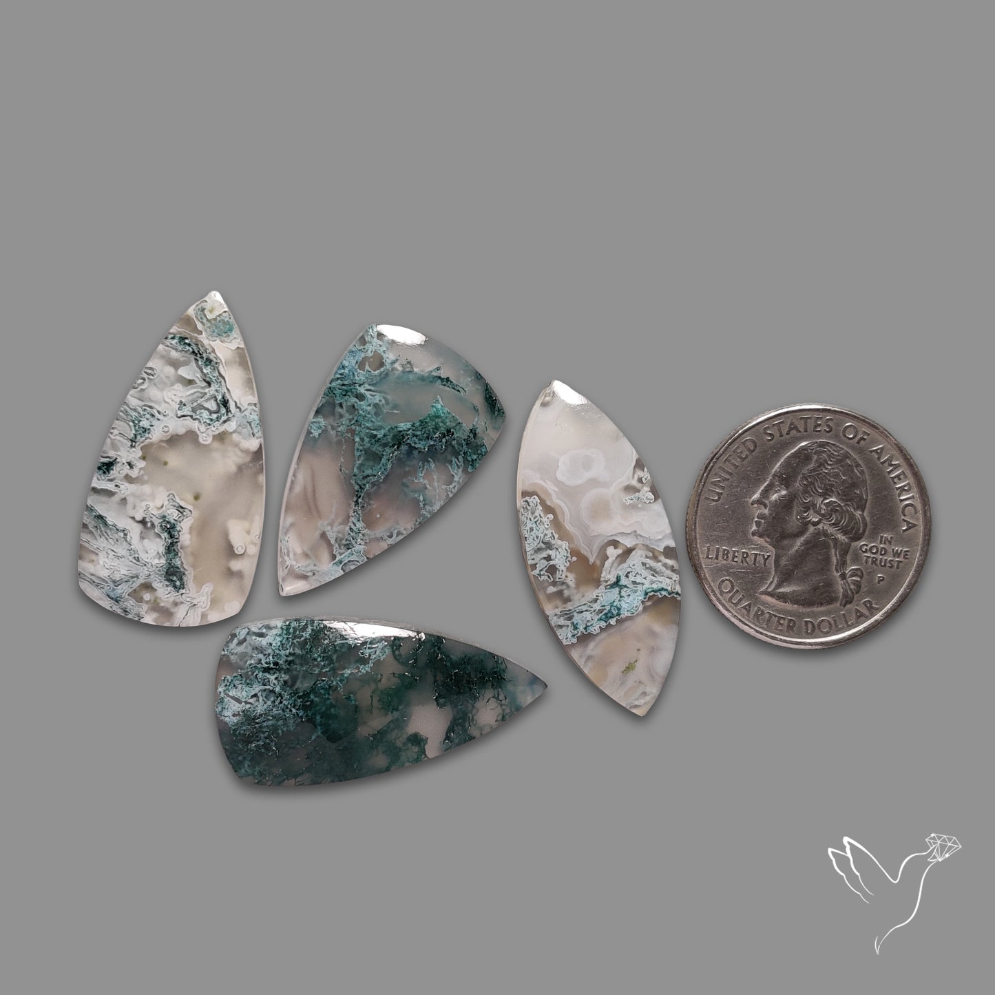 White Horse Canyon Moss Agates Lot