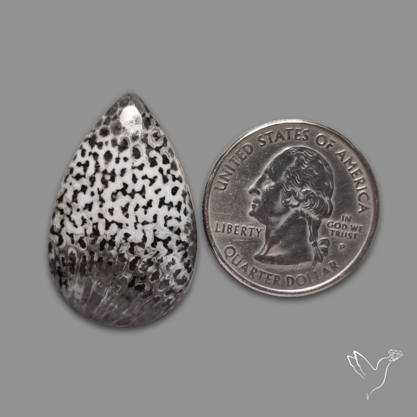 Black Fossil Coral Cabochon