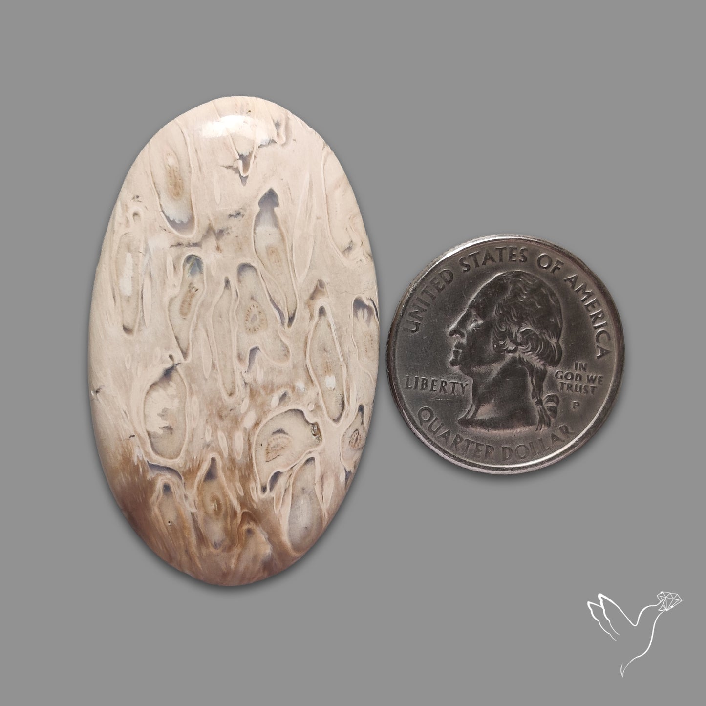Indonesian Palmroot Agate Cabochon