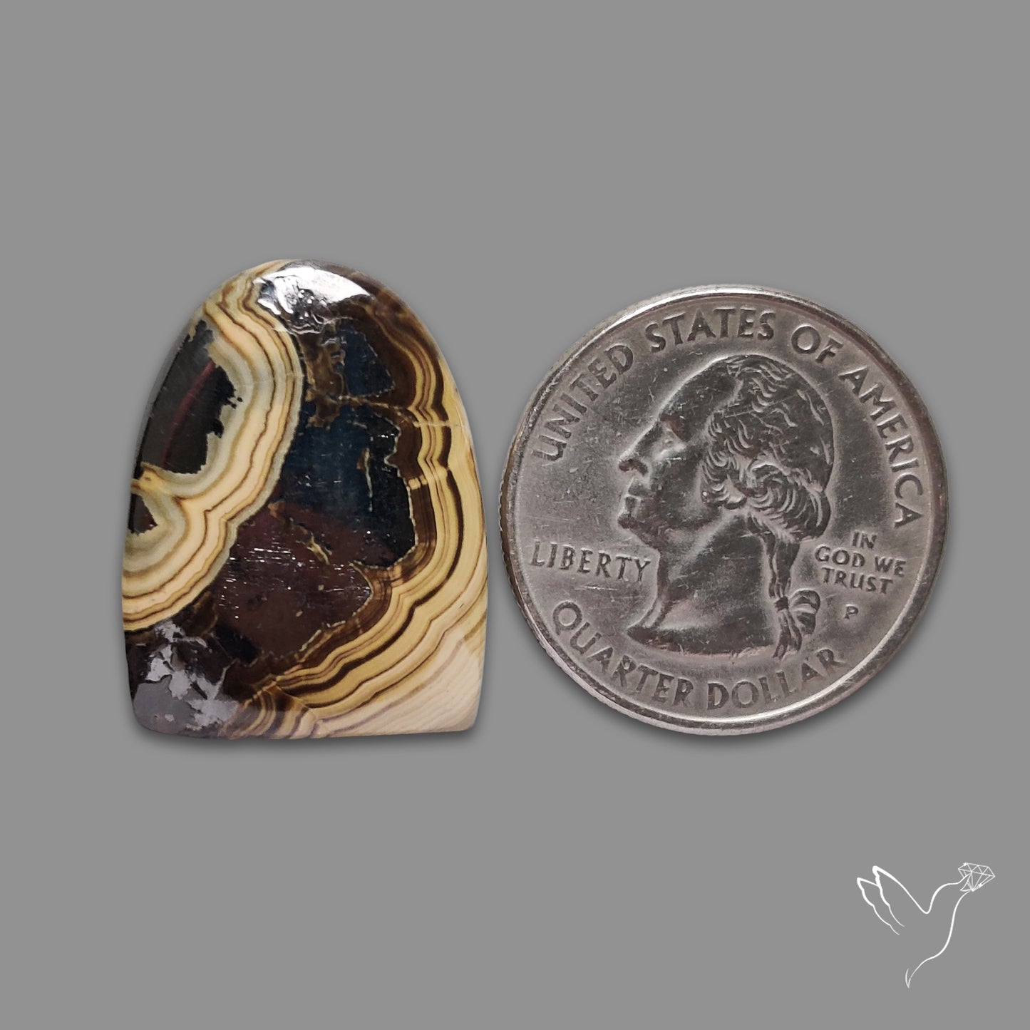 Schalenblende Cabochon
