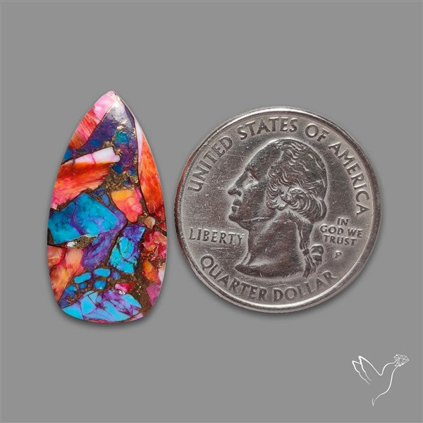 Spiny Oyster Mohave Turquoise Cabochon