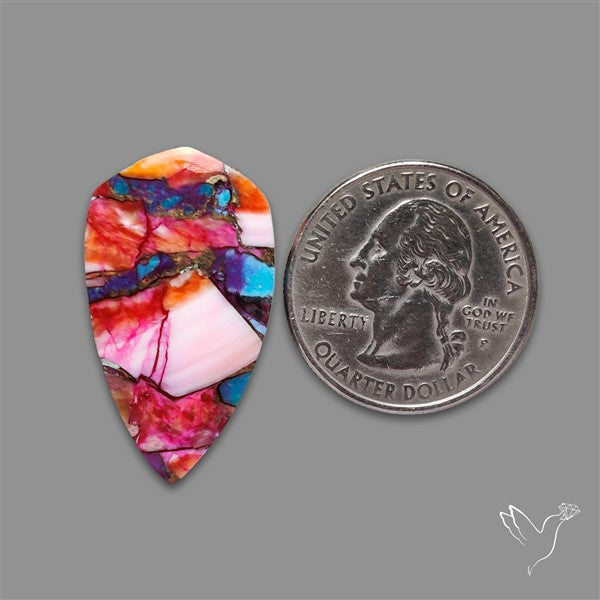 Spiny Oyster Mohave Turquoise Cabochon
