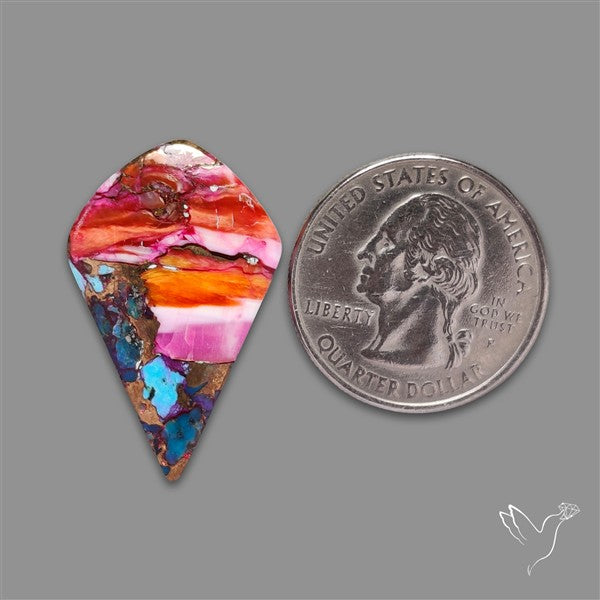 Spiny Oyster Mohave Turquoise Cabochon