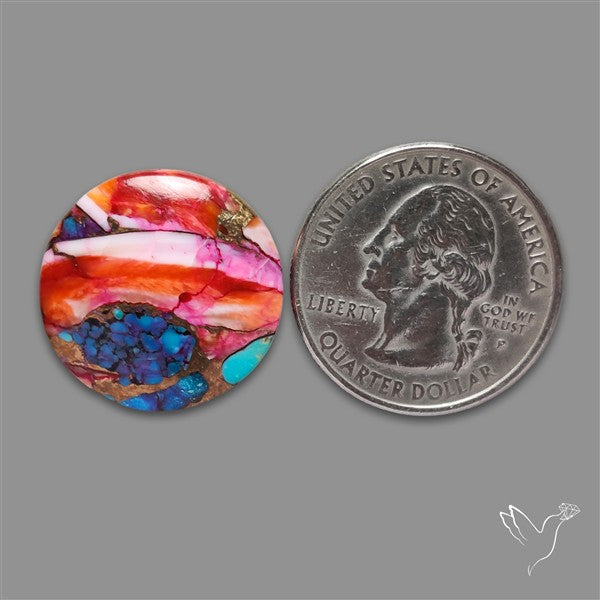 Spiny Oyster Mohave Turquoise Cabochon