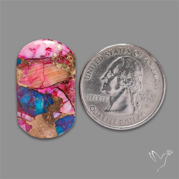 Spiny Oyster Mohave Turquoise Cabochon