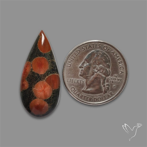 Peanut Obsidian Cabochon