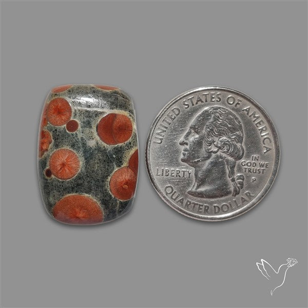 Peanut Obsidian Cabochon