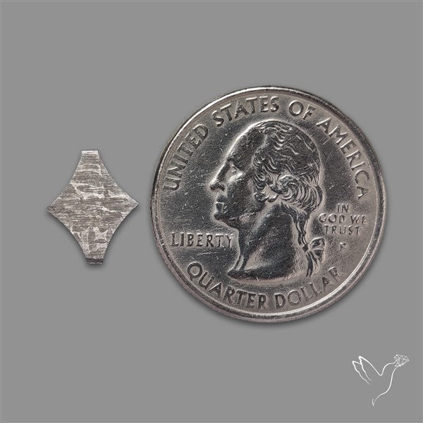 Rare Gibeon Meteorite Fancy Shaped