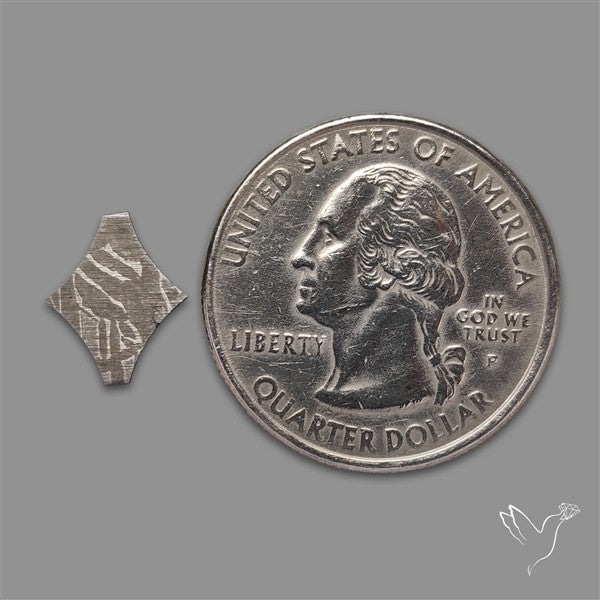 Rare Gibeon Meteorite Fancy Shaped