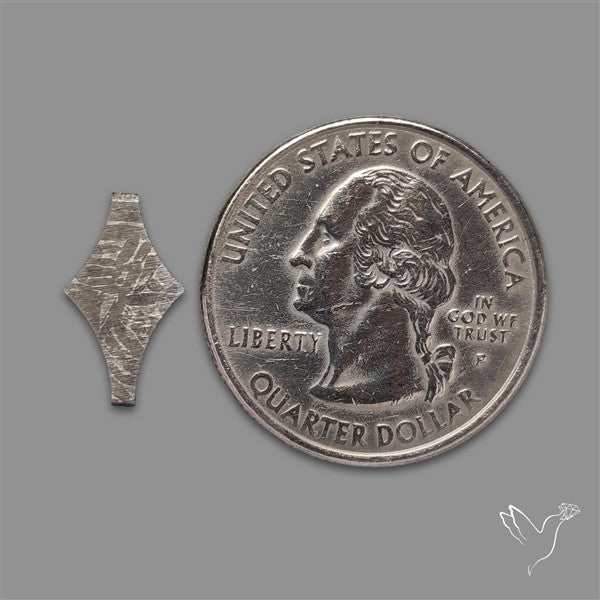 Rare Gibeon Meteorite Fancy Shaped