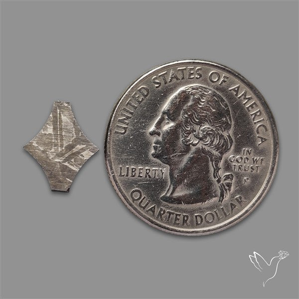 Rare Gibeon Meteorite Fancy Shaped
