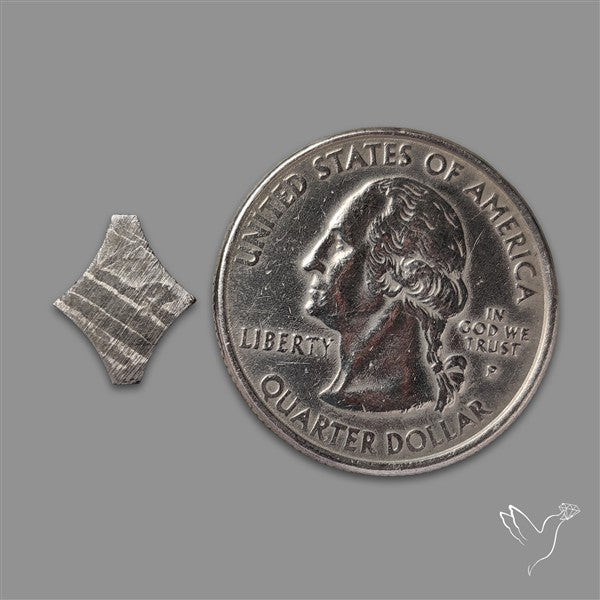 Rare Gibeon Meteorite Fancy Shaped