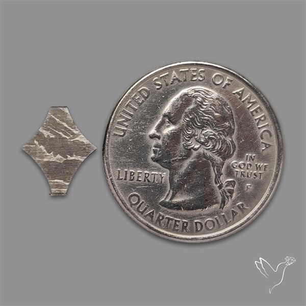 Rare Gibeon Meteorite Fancy Shaped