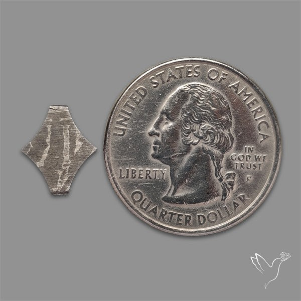 Rare Gibeon Meteorite Fancy Shaped