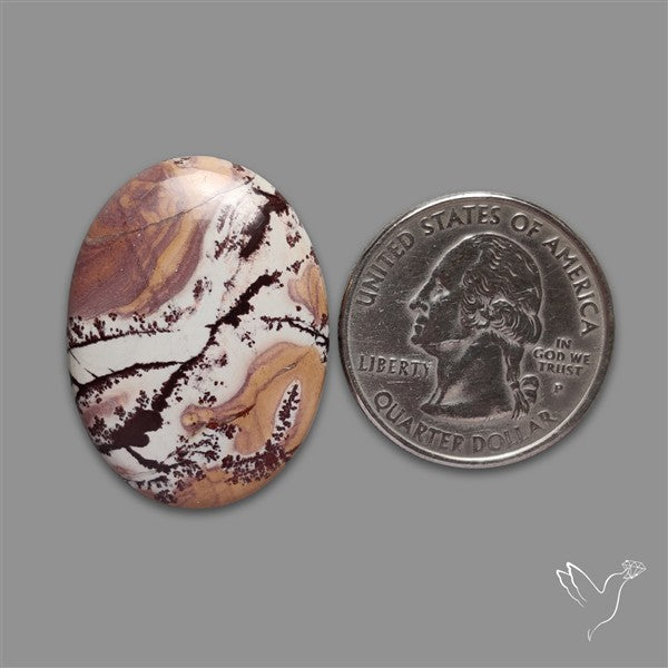 Sonoran Dendritic Rhyolite Cabochon