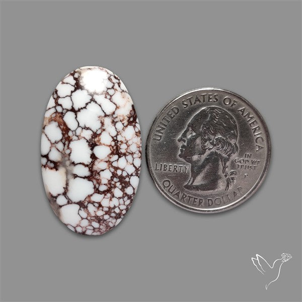 Wild Horse Jasper Cabochon