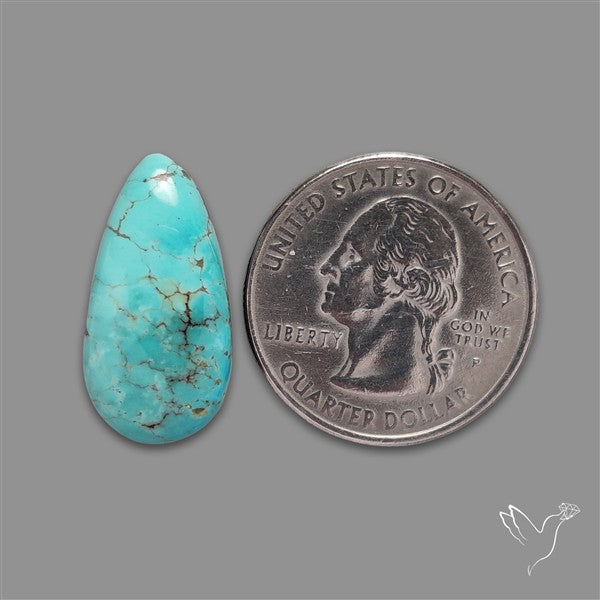 Kingman Turquoise Cabochon (Backed)