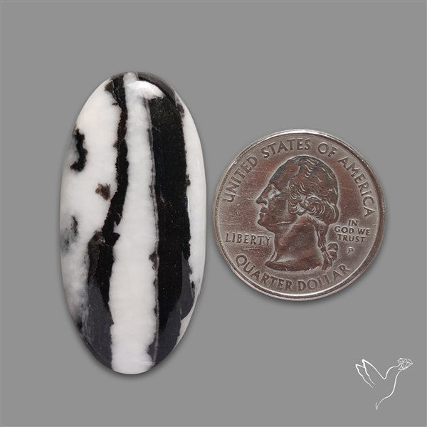 White Buffalo Turquoise Cabochon