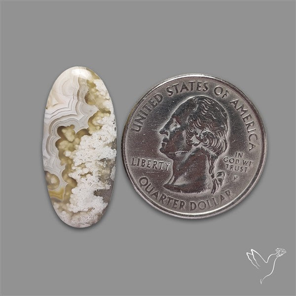 Plume Crazylace Agate Cabochon