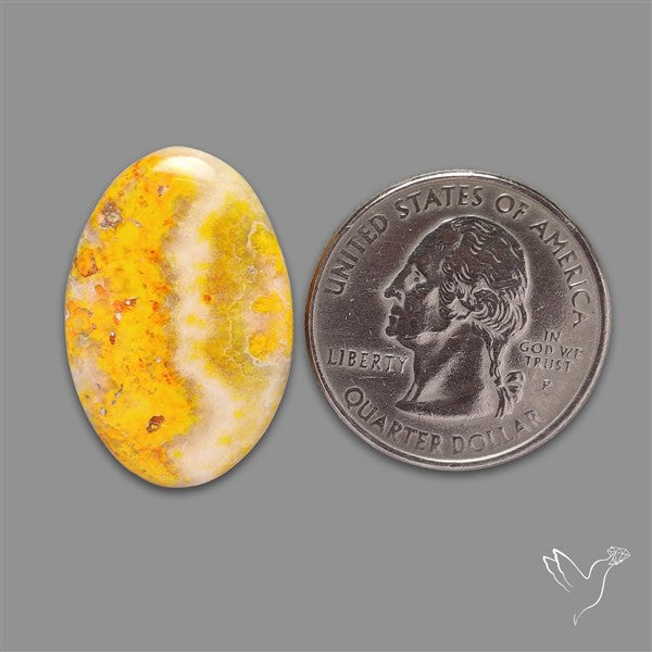Bumble Bee Jasper Cabochon