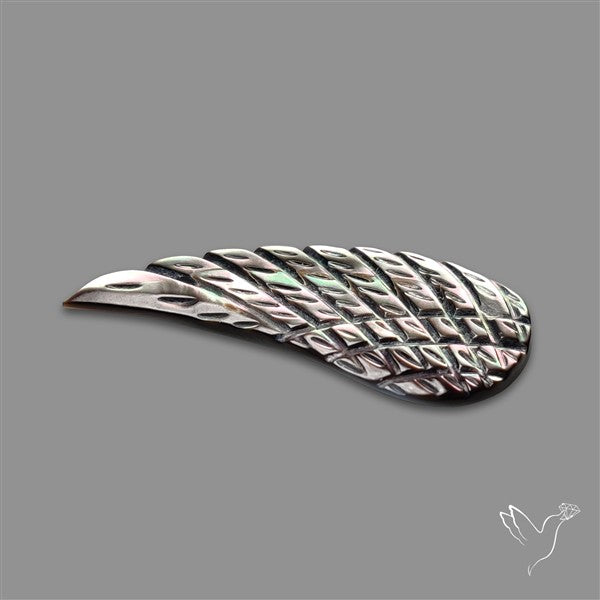 Tahitian Mother Of Pearl Wing