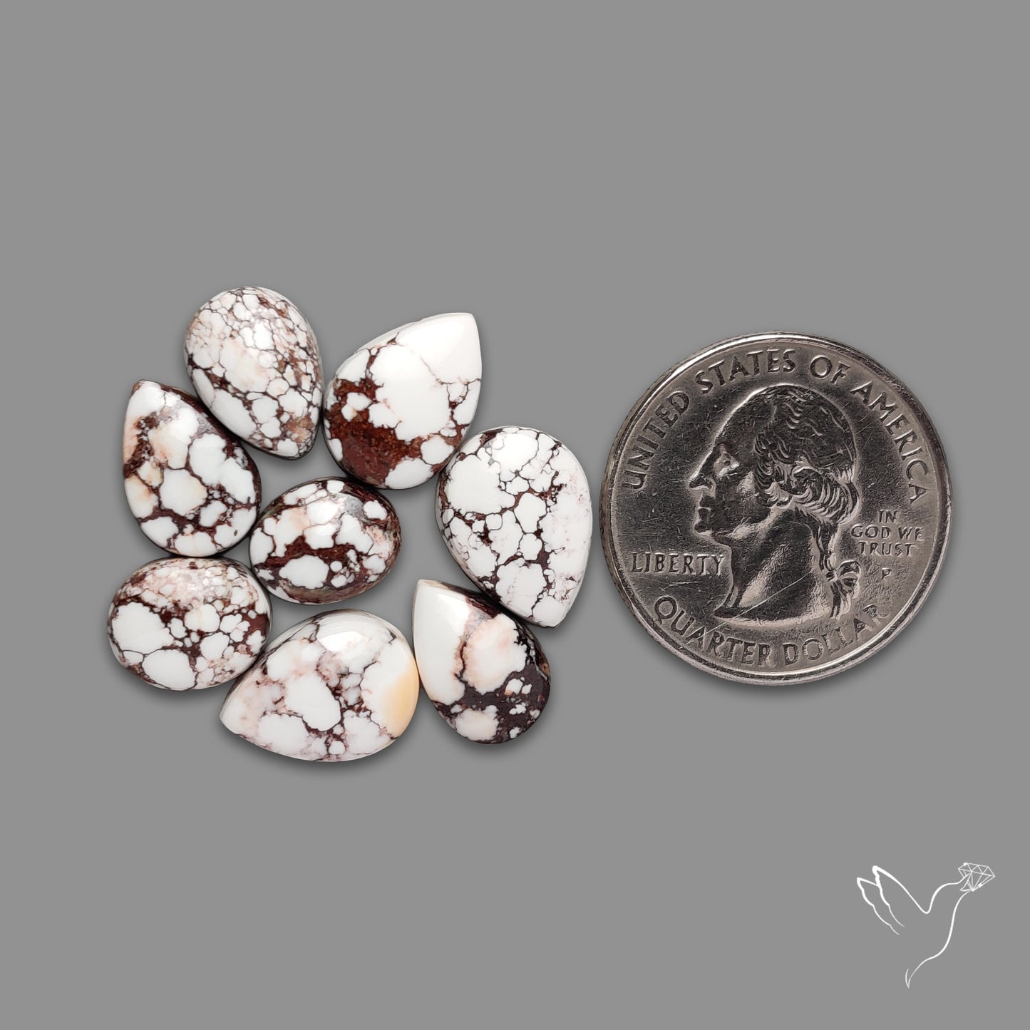 Wild Horse Jasper Cabochons Lot