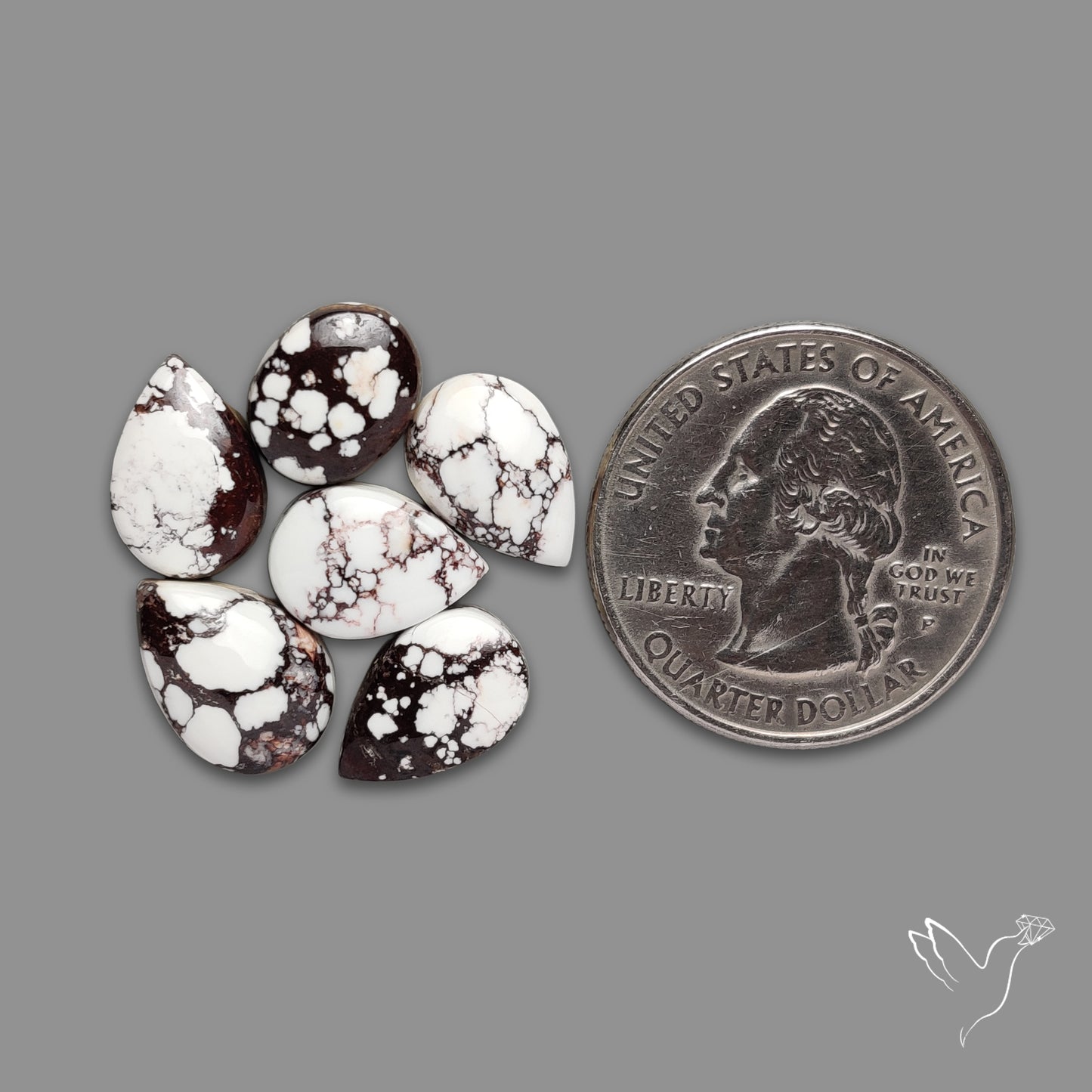 Wild Horse Jasper Cabochons Lot