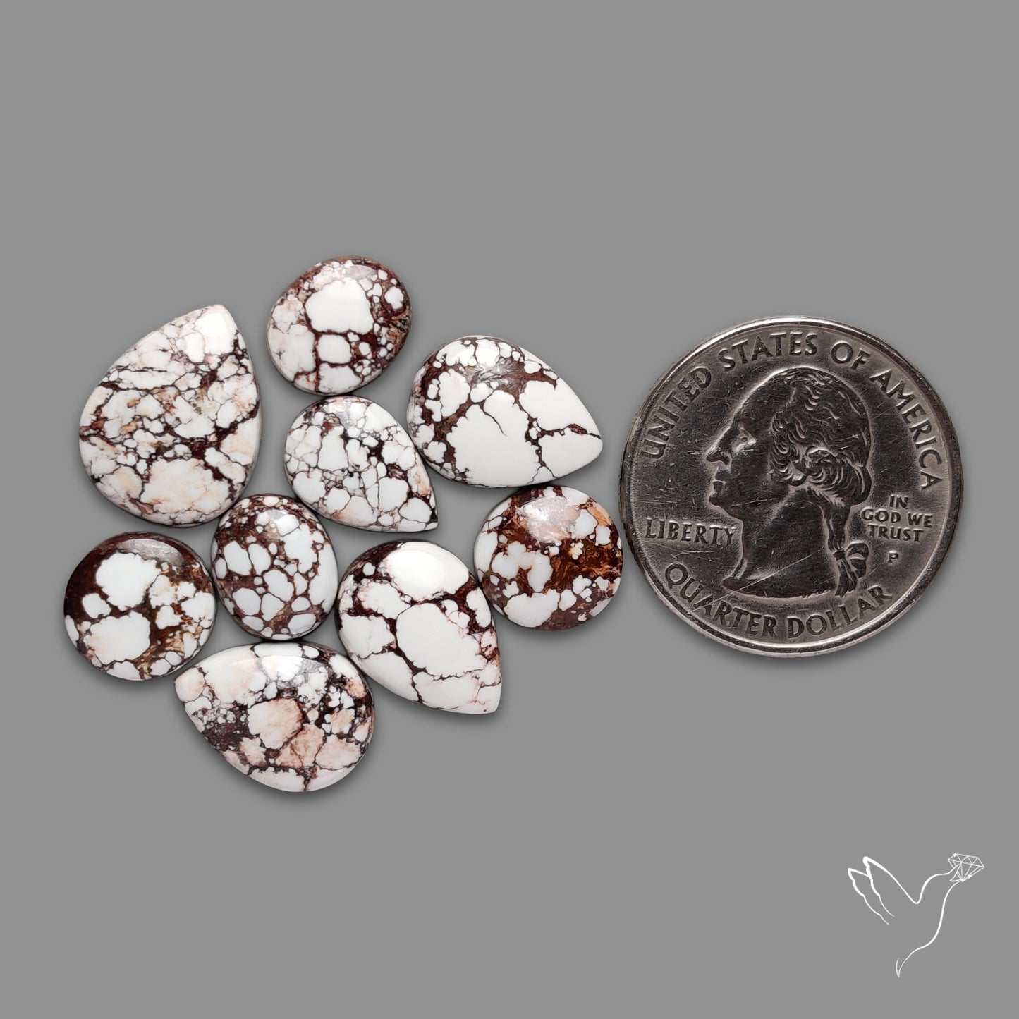 Wild Horse Jasper Cabochons Lot
