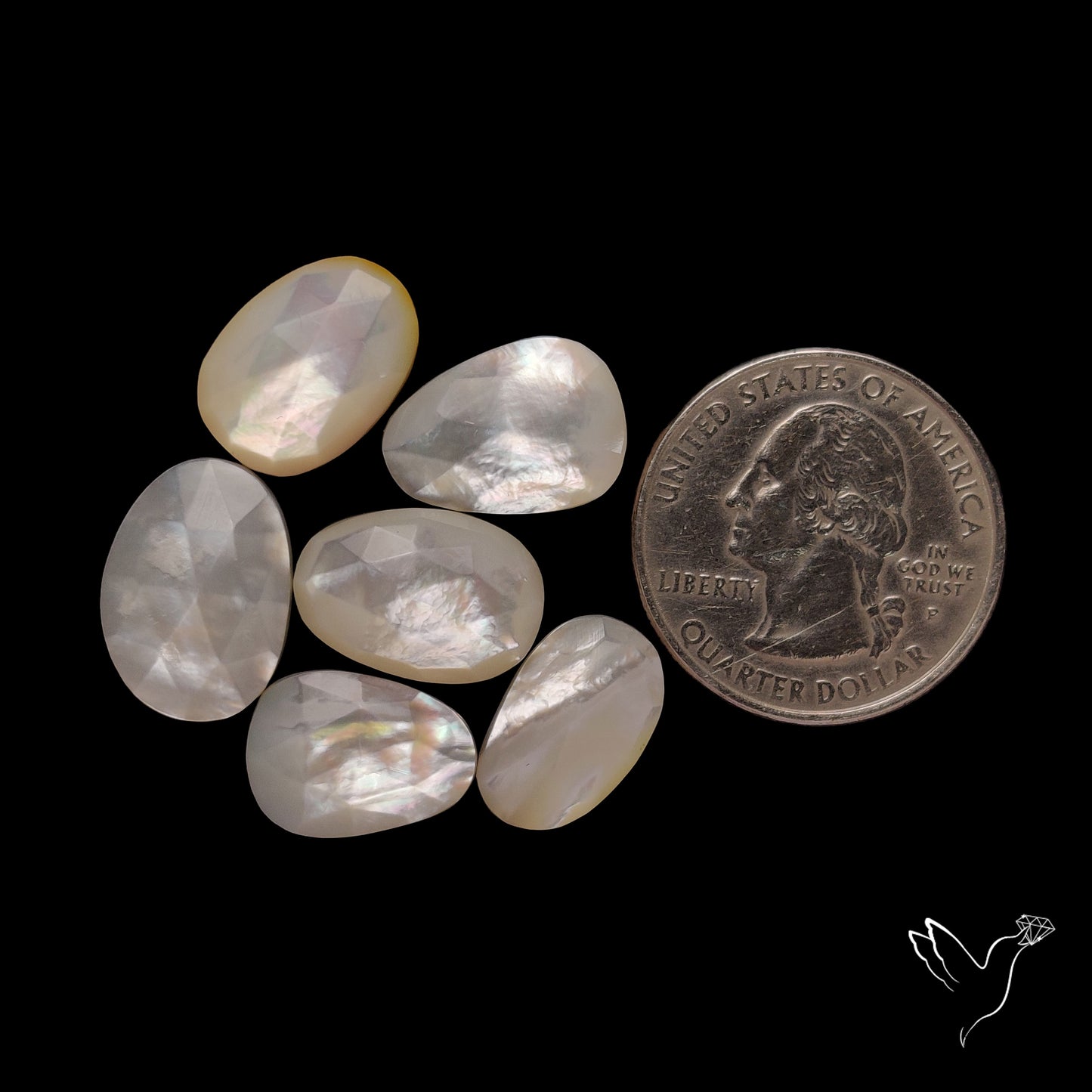 Rose Cut Mother Of Pearl Lot