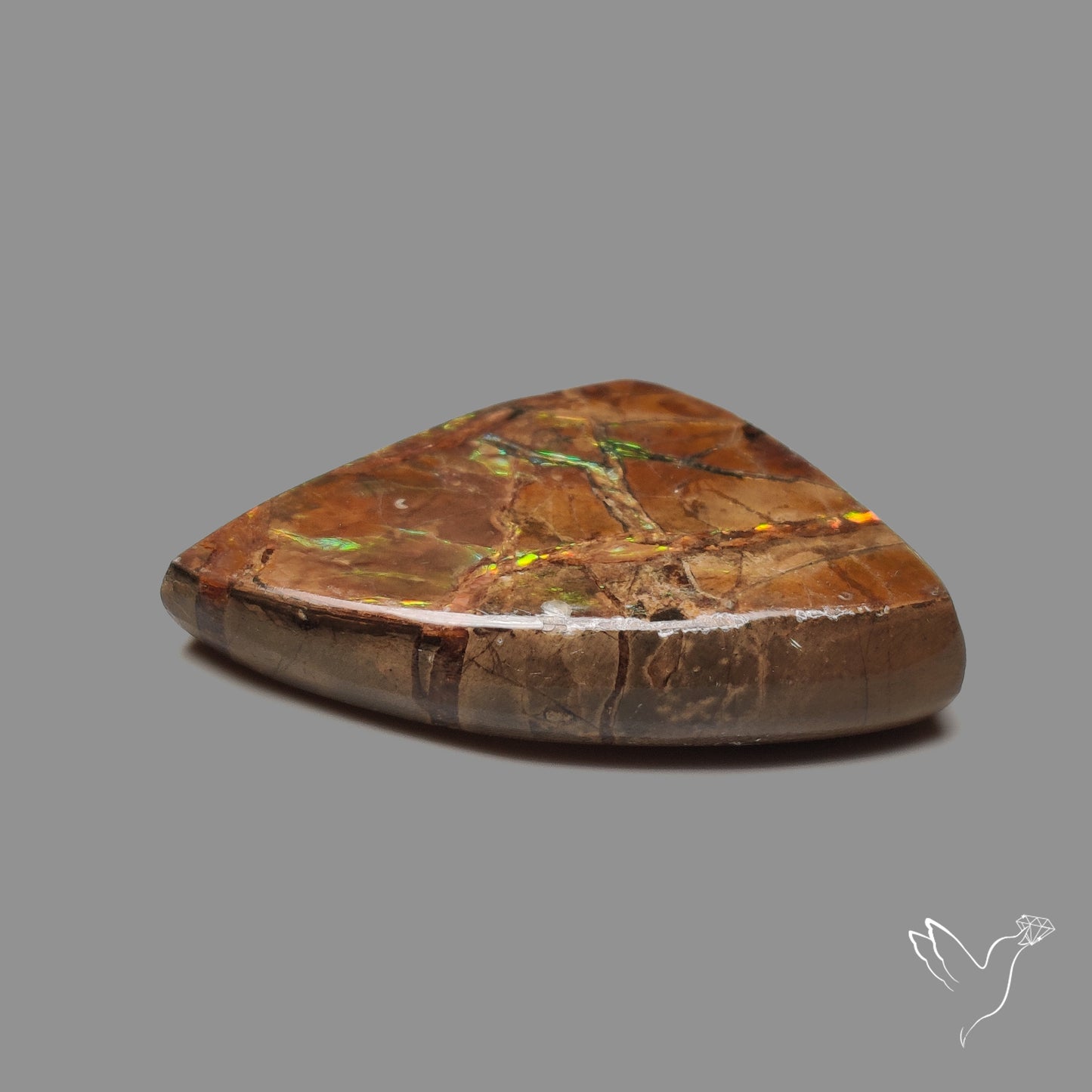 AAA Ammolite Orange Green Large Specimen